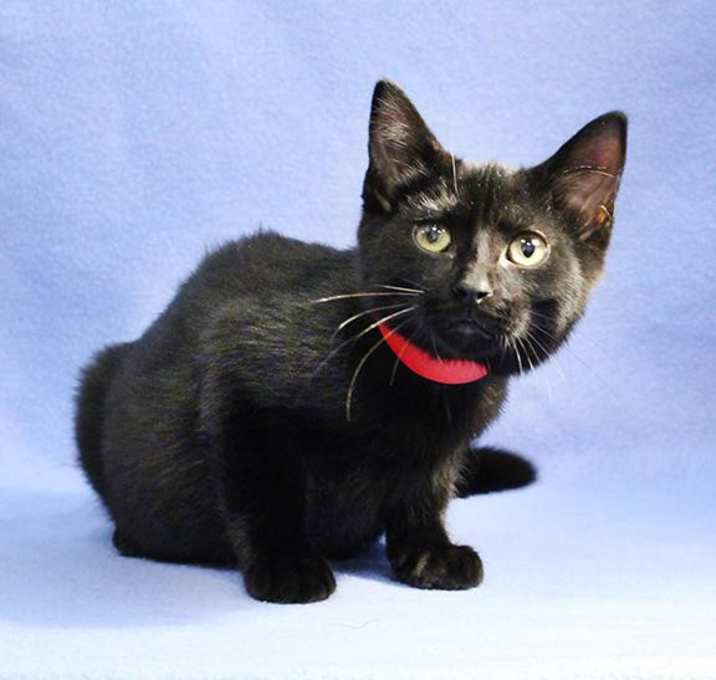 Photo of Percy