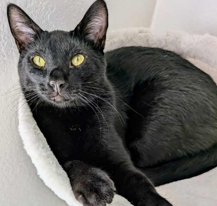 Photo of Jake 4367