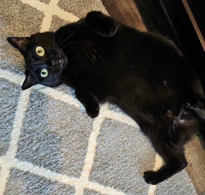 Photo of Ritzy Mitzy