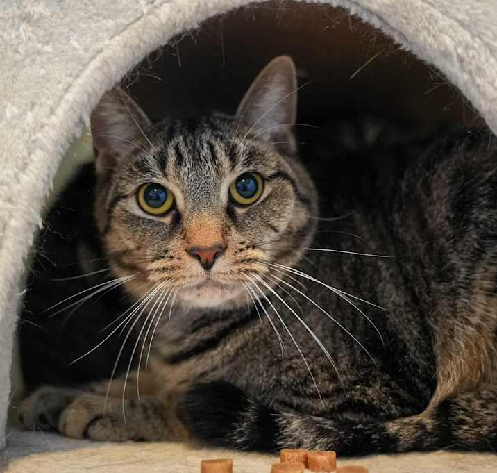 Photo of Jax