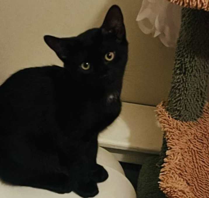 Photo of shadow
