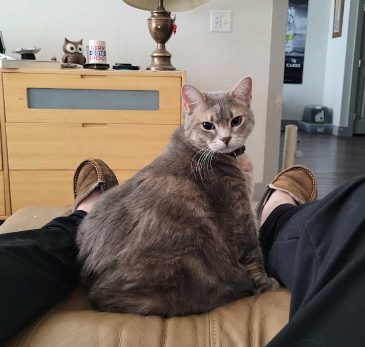 Photo of Freya