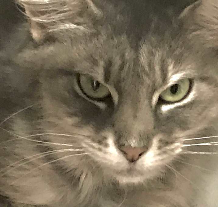 Photo of Lady Jane Grey