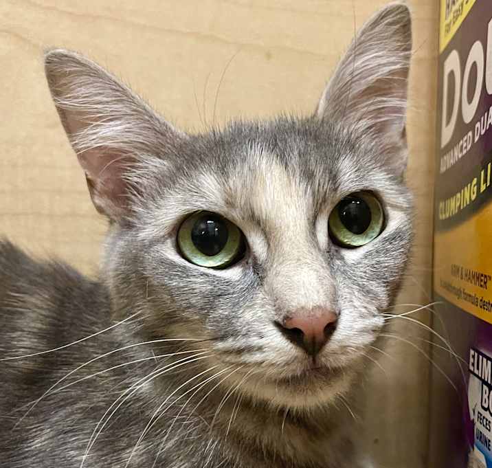 Photo of Cloud