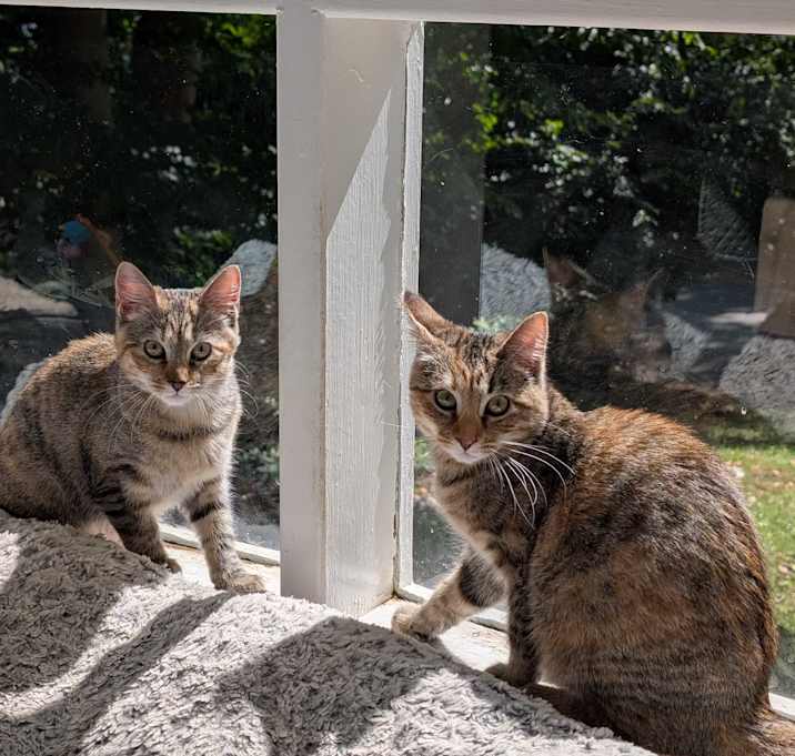 Photo of Riley 'n Rain-Sister Act