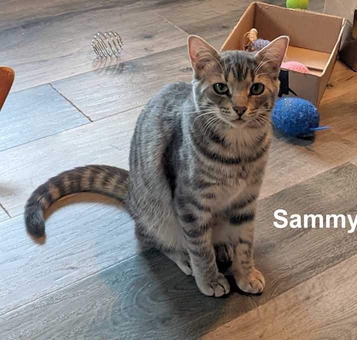 Photo of Sammy & Sally