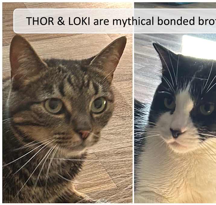 Photo of Thor & Loki