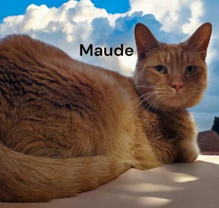 Photo of Maude