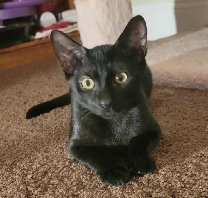 Photo of Vinny