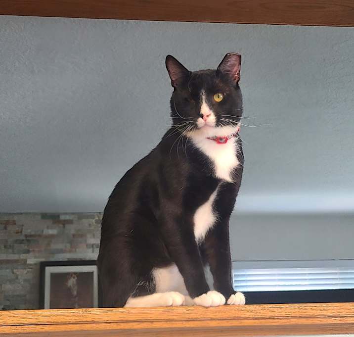Photo of Harry