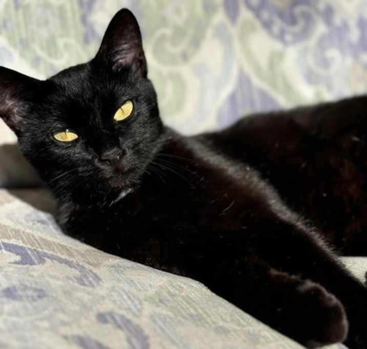 Photo of Flora