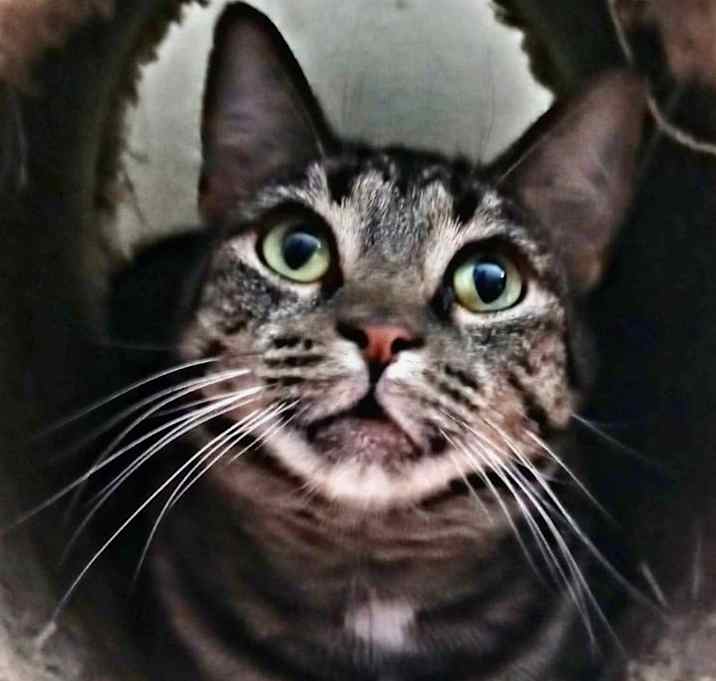 Photo of Lily