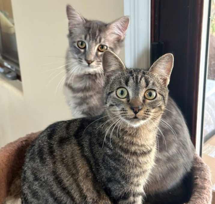 Photo of Emery & Sage