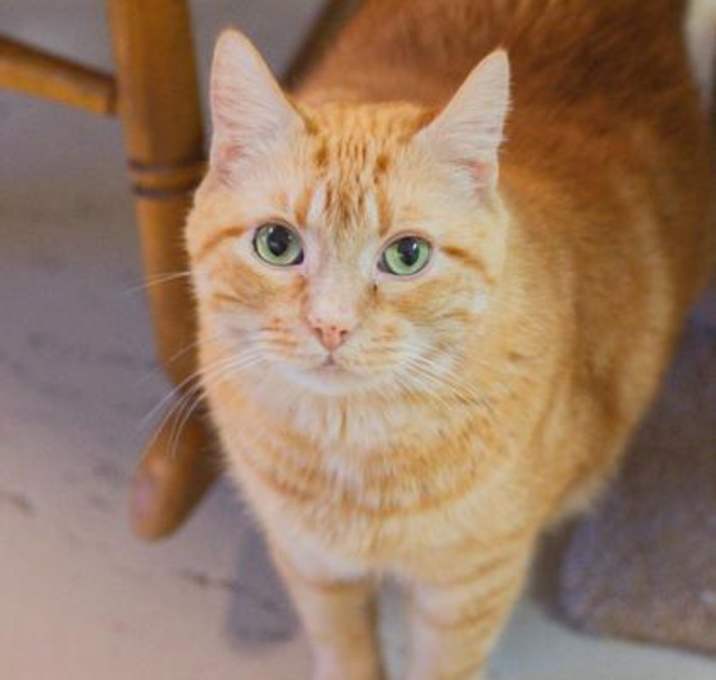 Photo of Cyrus