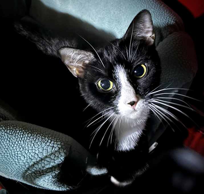 Photo of Babs