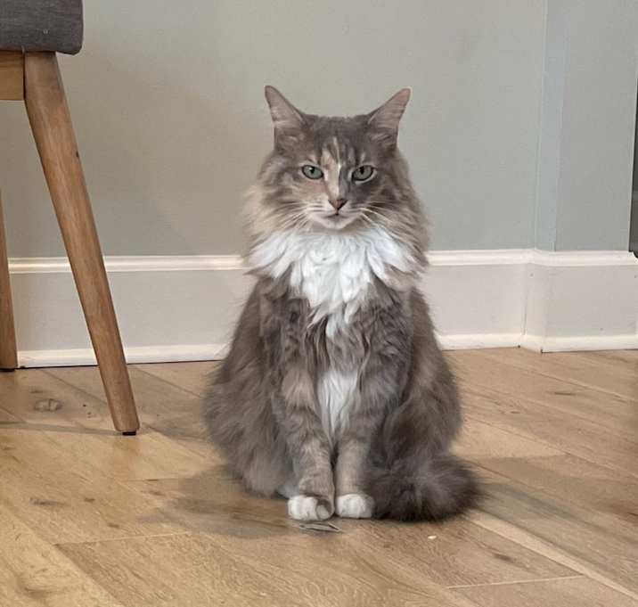 Photo of Blue
