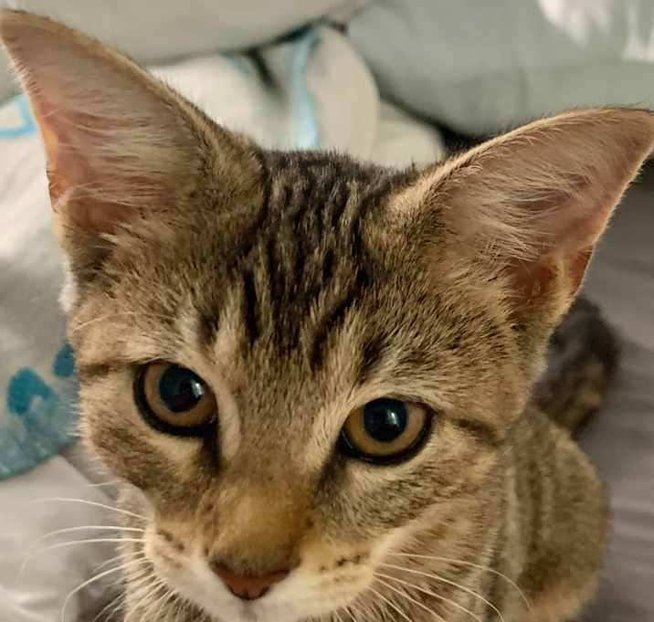 Photo of Tabitha