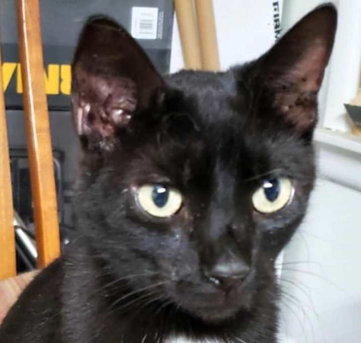 Photo of Poncho