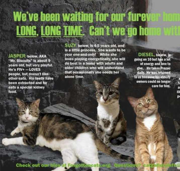 Photo of Longer Timers Part 3 Male and Female
