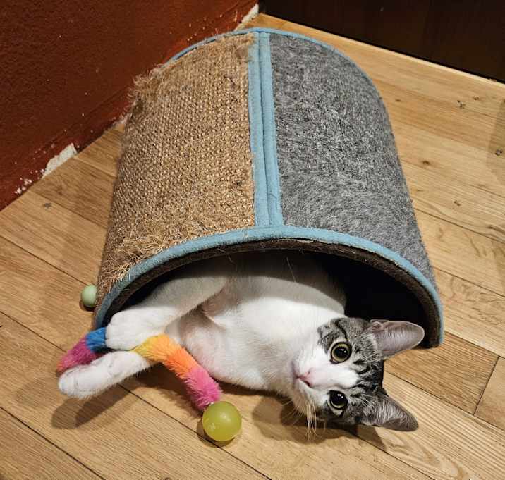 Photo of Marty