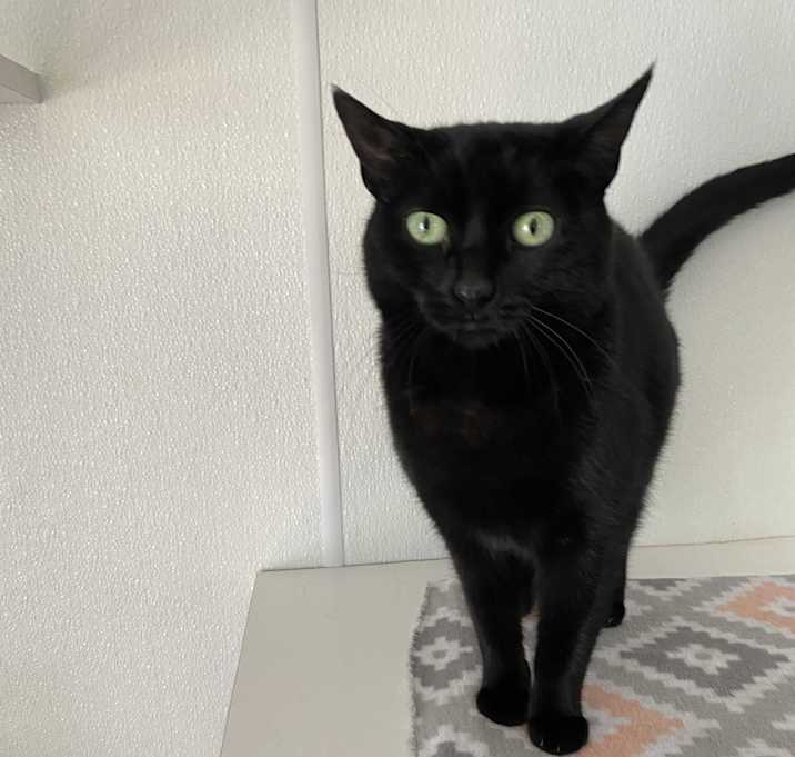 Photo of Wanda