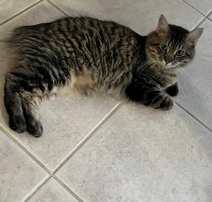 Photo of Cruz