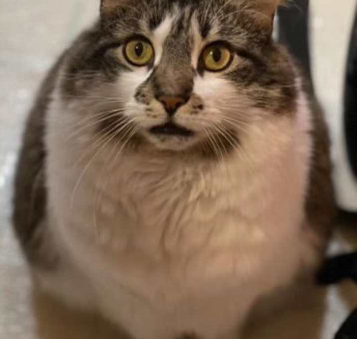 Photo of Winnie