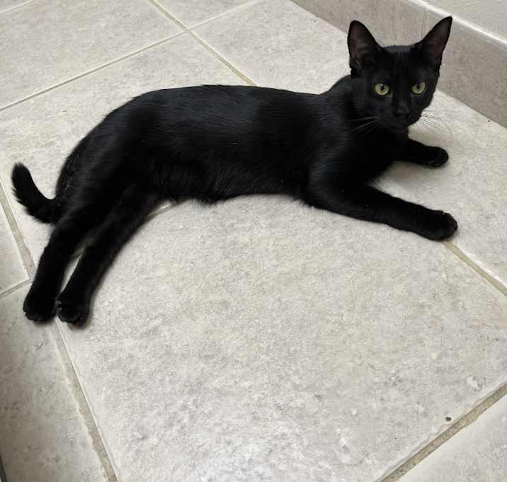 Photo of Bea