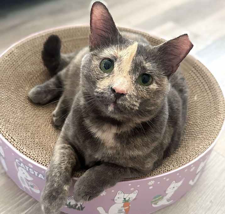 Photo of Adela