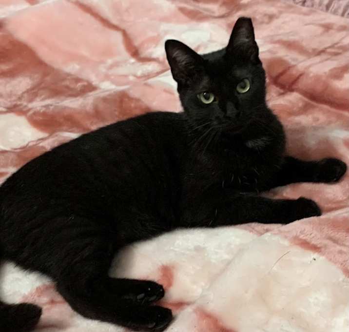 Photo of Diamond