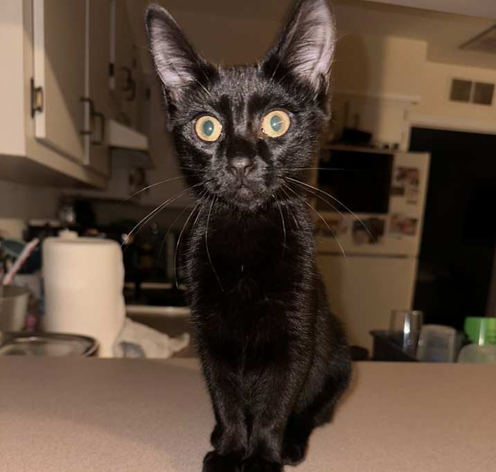 Photo of Winnie