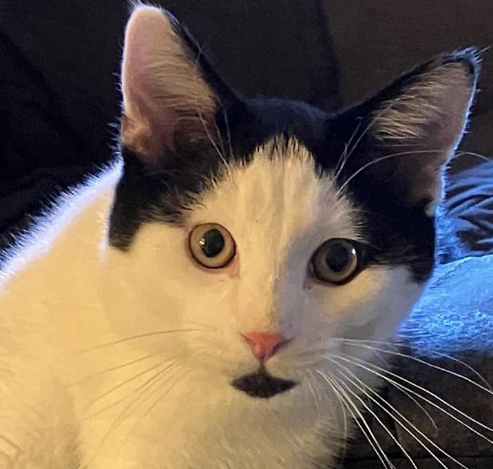 Photo of Sammy