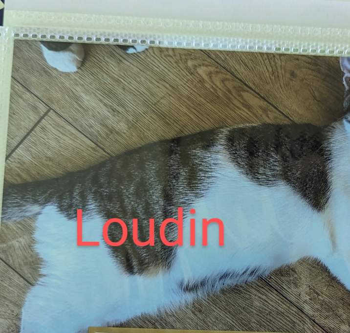 Photo of Loudin