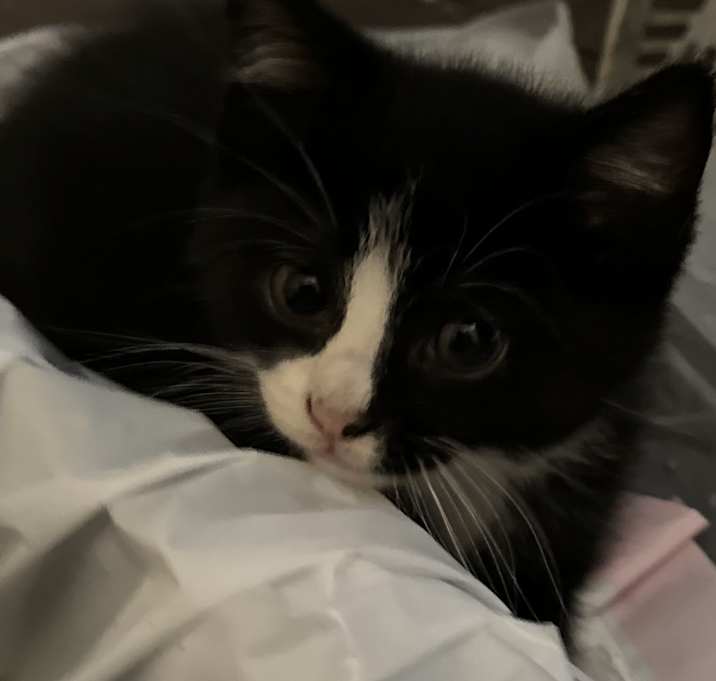 Photo of I Am Lucky!