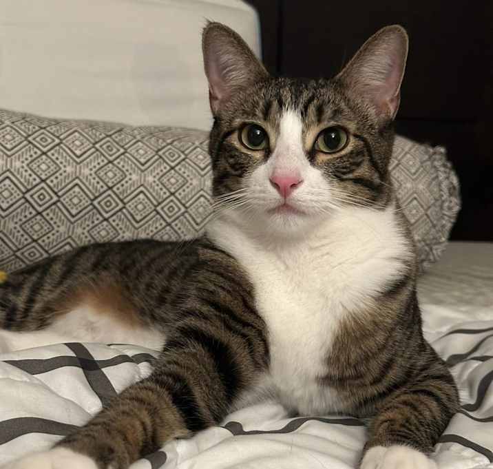 Photo of Horacio