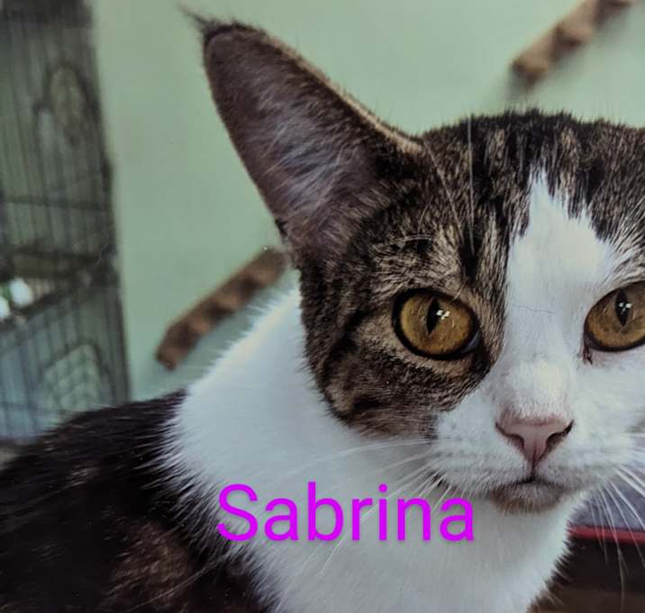 Photo of Sabrina