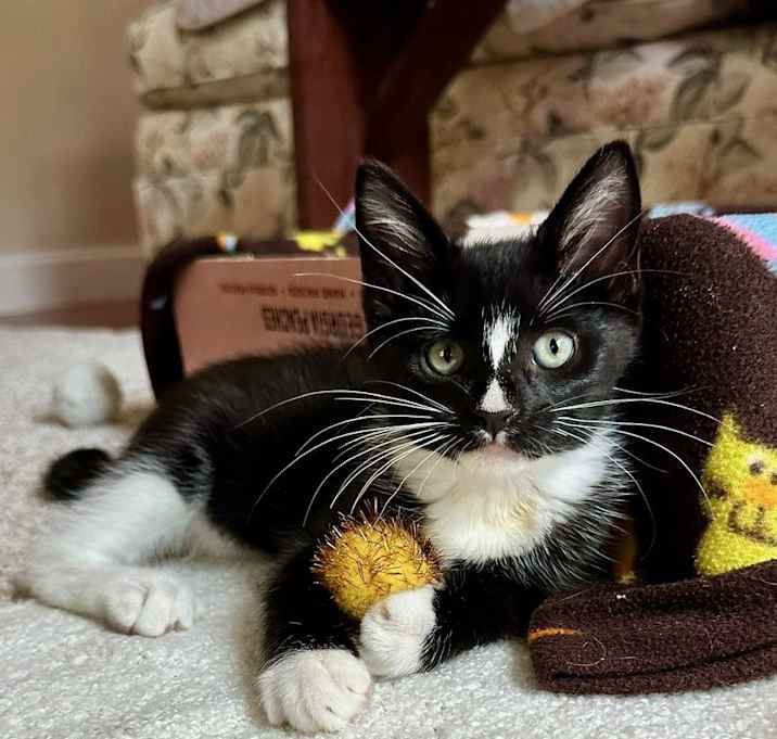 Photo of Oakley
