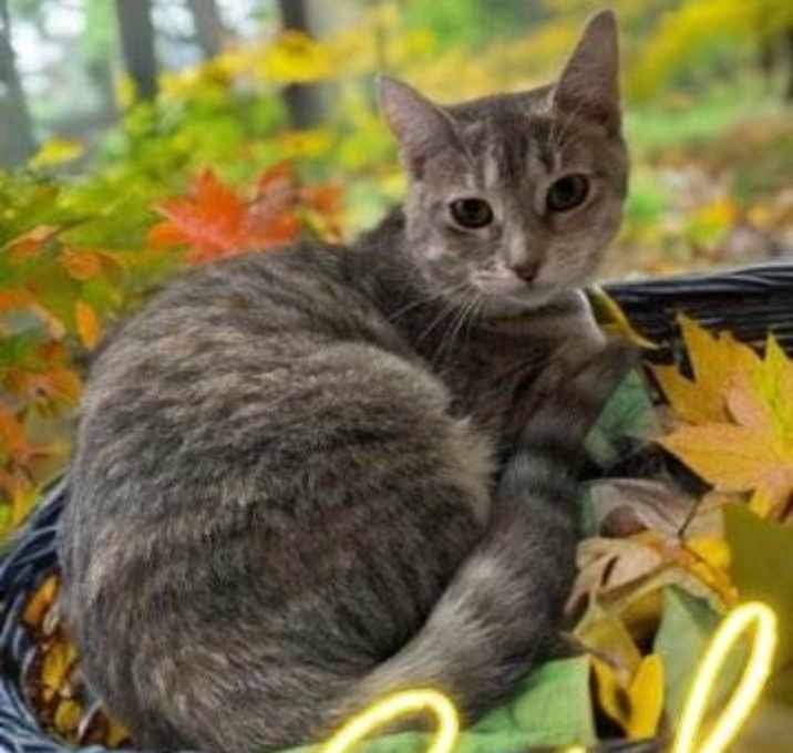 Photo of Enid