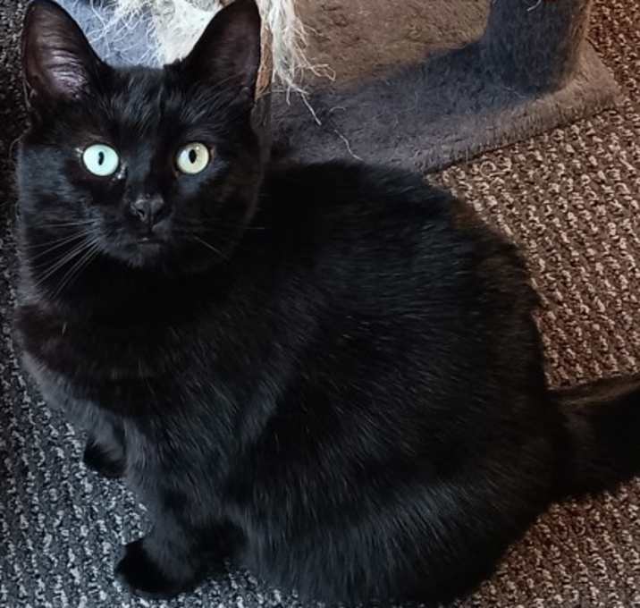 Photo of Mystery