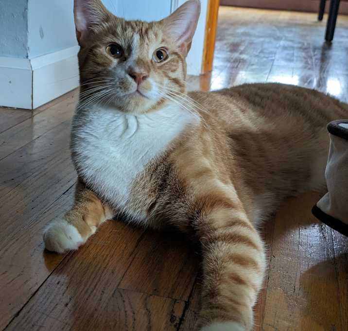 Photo of Julian