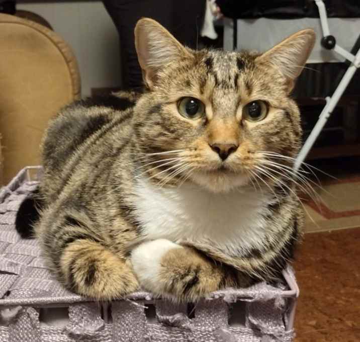 Photo of Chloe