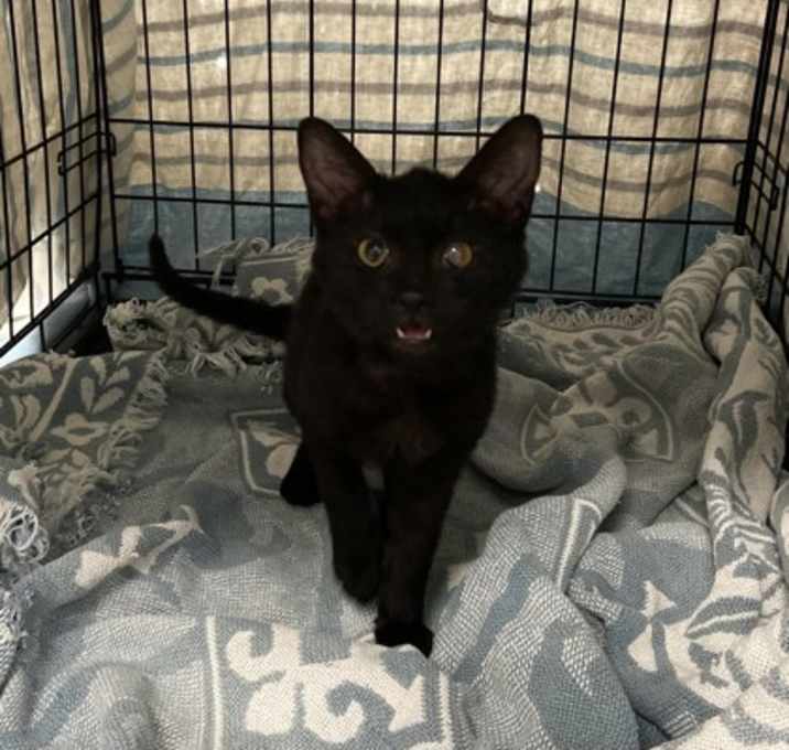 Photo of TikTok