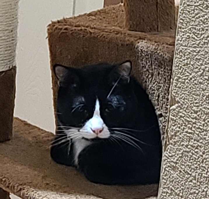 Photo of Sonny