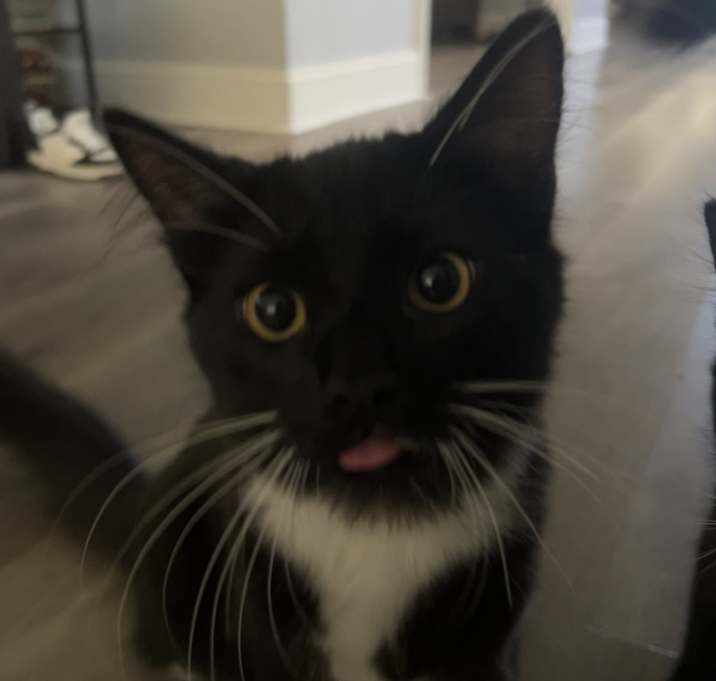 Photo of Stripe