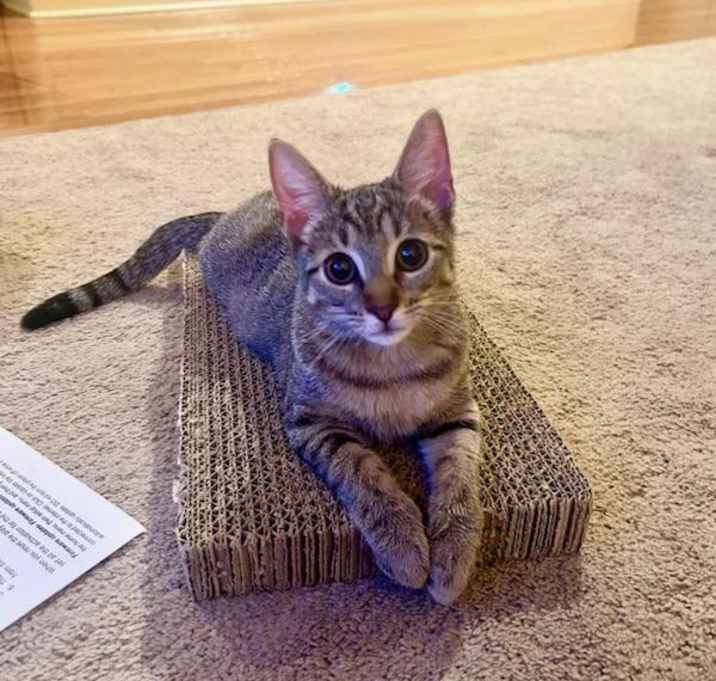 Photo of Emmy