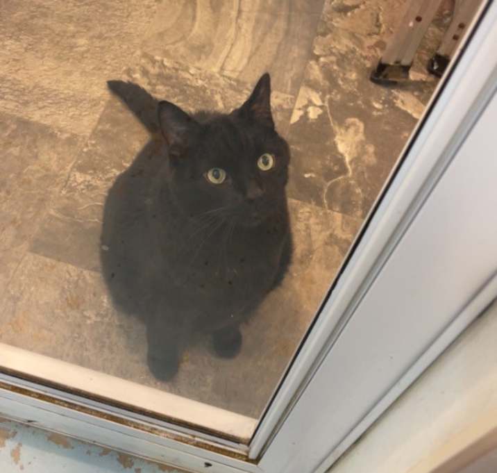 Photo of Mr. Bear