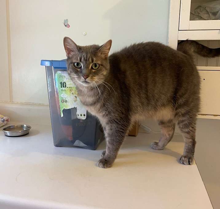 Photo of Mystic
