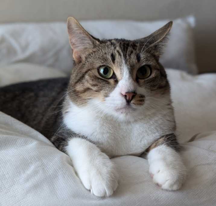 Photo of Johann