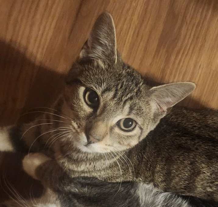 Photo of Hershey