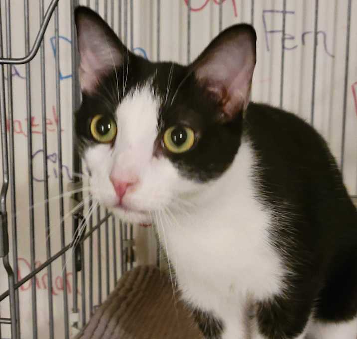 Photo of Mason